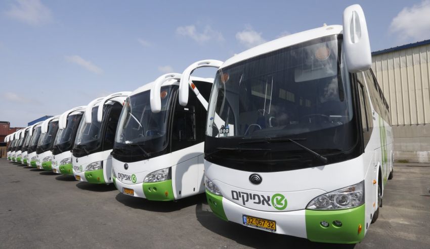 אגד OUT - אפיקים IN - שינויים בקווי התחבורה בעיר
