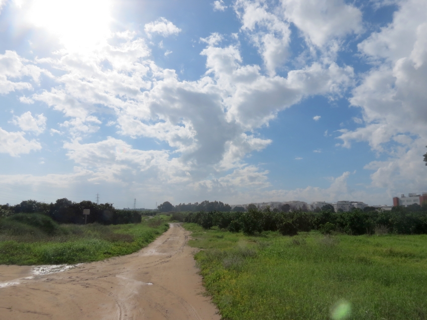 הגשמים הסתיימו, הקור ילך ויתחזק: מזג האוויר לסוף השבוע