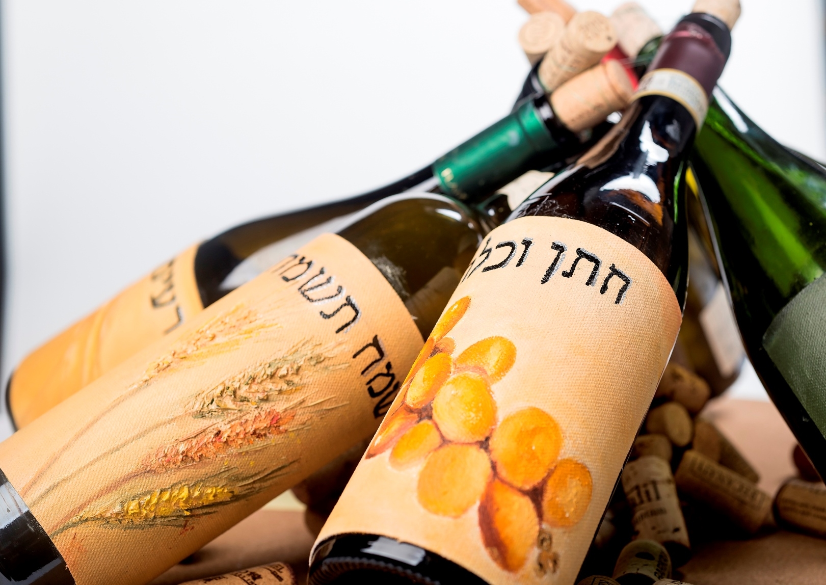 תערוכה חדשה בבית אריה קלנג: קול ששון וקול שמחה