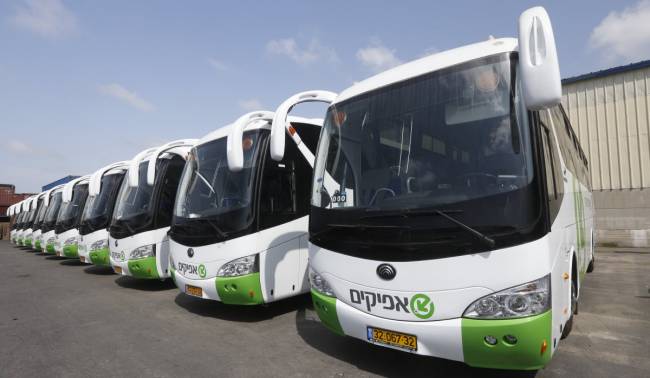 חברת "אפיקים" תהיה בן נותני החסות של מכבי אשדוד