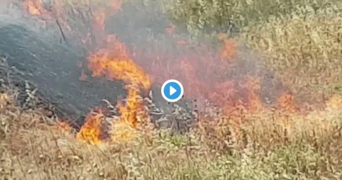 רן כרמי-בוזגלו עוכב לחקירה לאחר שניסה לשגר עפיפון לעזה