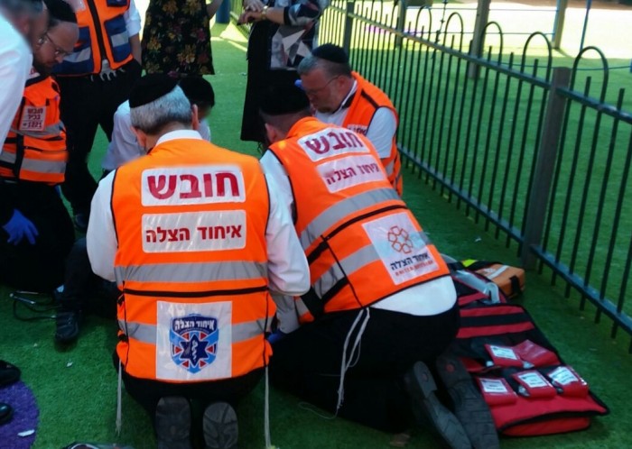 מטריד: ילד כבן שנתיים הוכש ע"י נחש בגן באשדוד