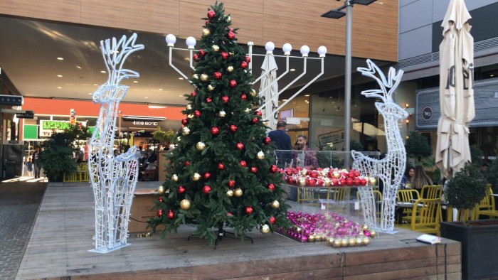 חשיפה ראשונה: עץ אשוח הוצב היום במתחם ביג פאשן אשדוד