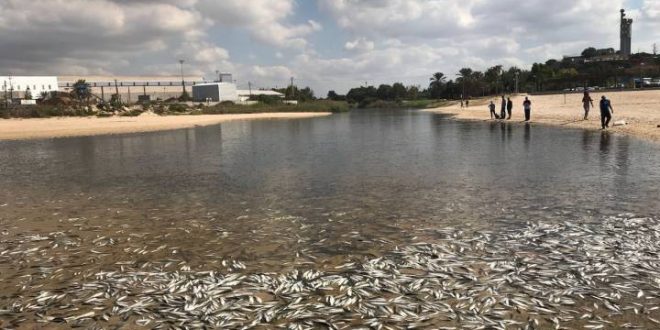 הקרב על הנחל נמשך - באר טוביה: מחכים לדיון להמשך הזרמה ללכיש