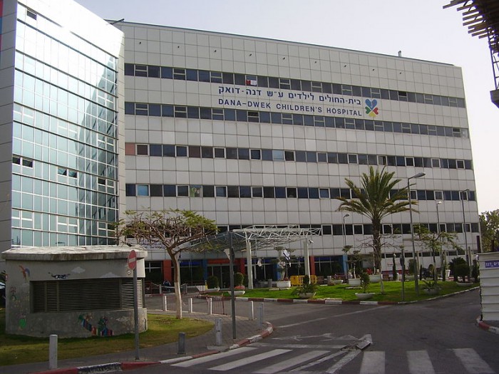 ביה"ח דנה.
